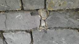 acastle
                          112585.jpg